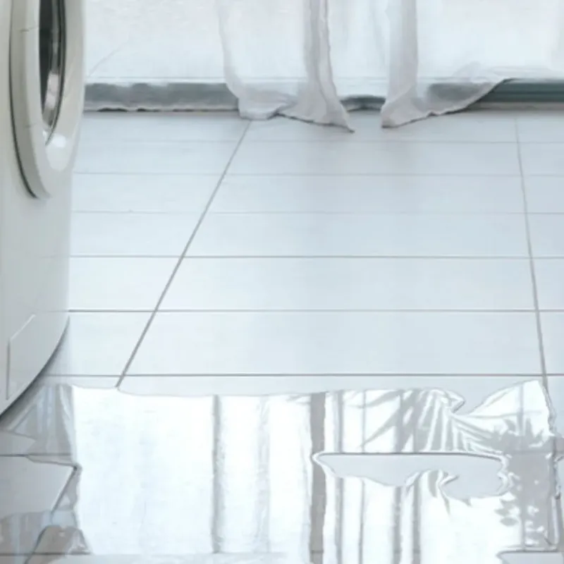Appliance Leak Cleanup in Tiger Point, FL