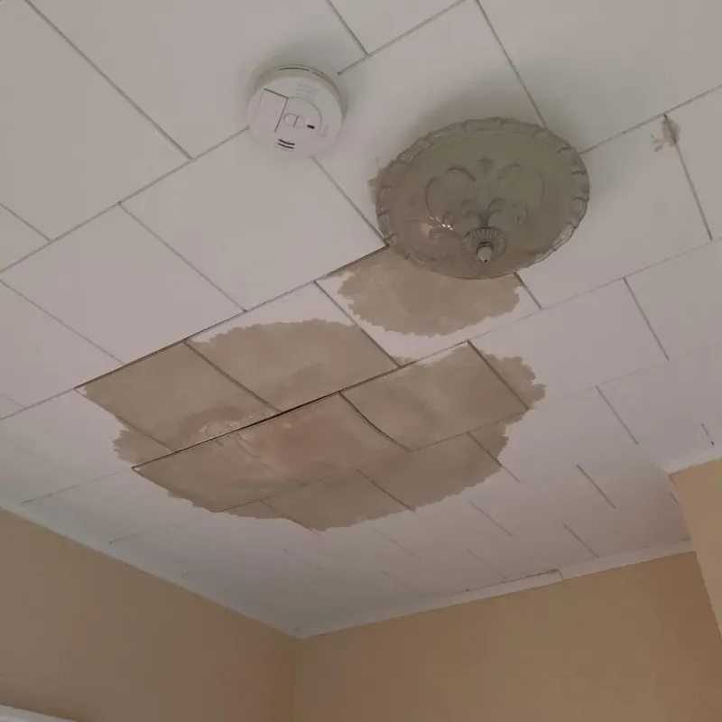 Ceiling Water Damage Repair in Tiger Point, FL